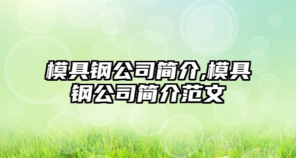 模具鋼公司簡介,模具鋼公司簡介范文