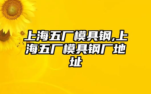 上海五廠模具鋼,上海五廠模具鋼廠地址