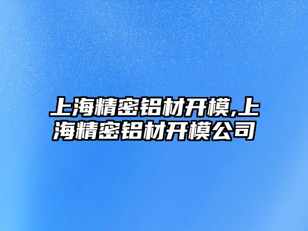 上海精密鋁材開模,上海精密鋁材開模公司