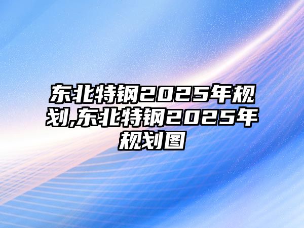 東北特鋼2025年規(guī)劃,東北特鋼2025年規(guī)劃圖