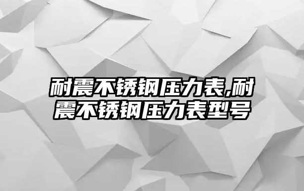 耐震不銹鋼壓力表,耐震不銹鋼壓力表型號