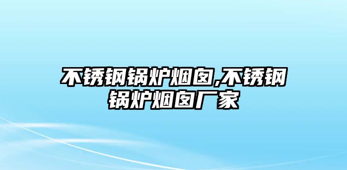 不銹鋼鍋爐煙囪,不銹鋼鍋爐煙囪廠家