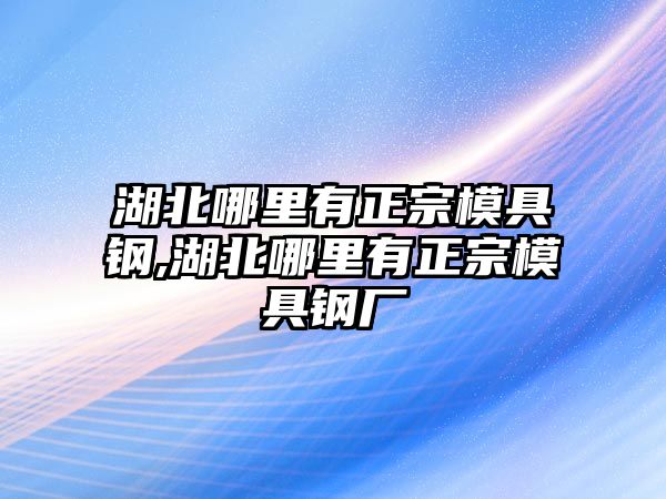 湖北哪里有正宗模具鋼,湖北哪里有正宗模具鋼廠